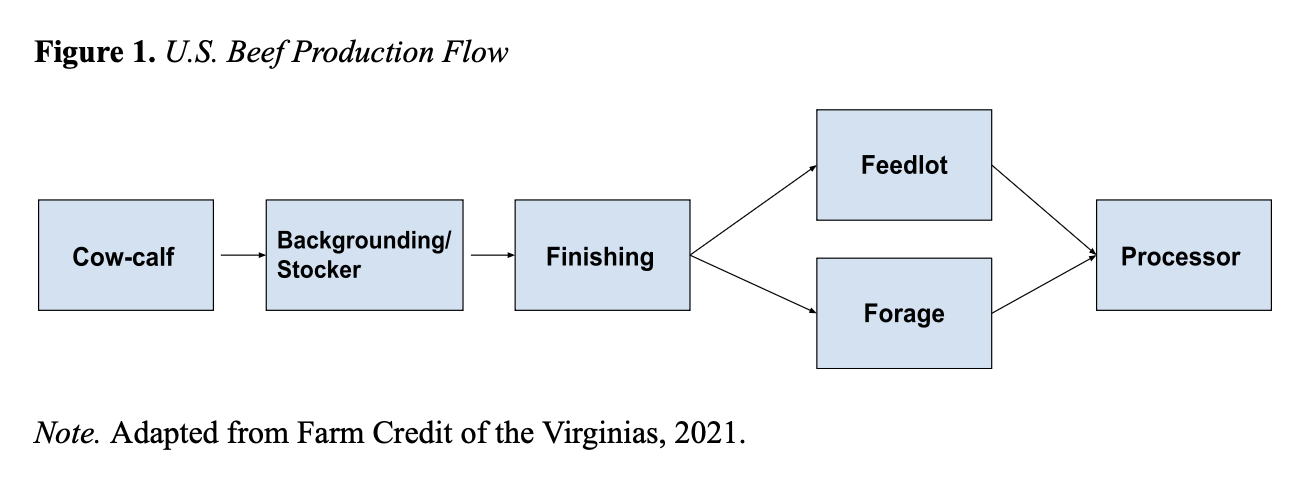 Diagram of the U.S. beef production supply chain showing cow-calf, stocker, finishing, feedlot, forage, and processor stages.