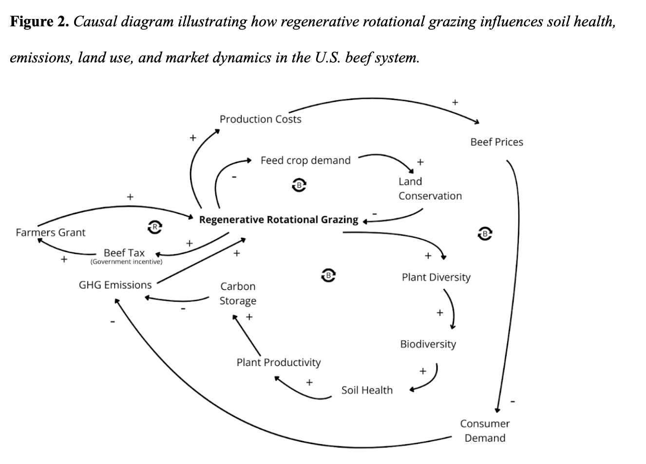 Systems diagram illustrating how rotational grazing and grassfed beef production affect soil carbon sequestration, biodiversity, emissions reduction, and consumer demand.