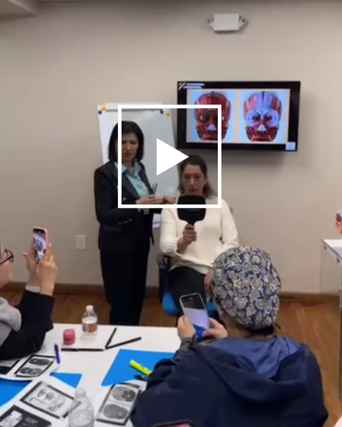 Facial Anatomy Masterclass