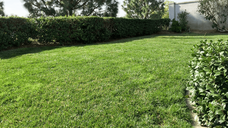 Lake St. Louis Mulch Installation
