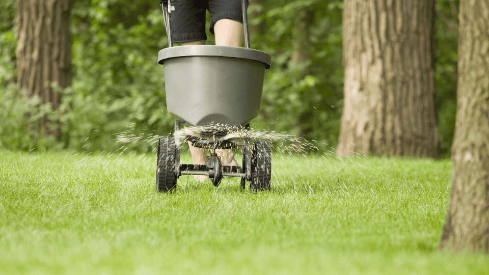 St. Peters Lawn Fertilization