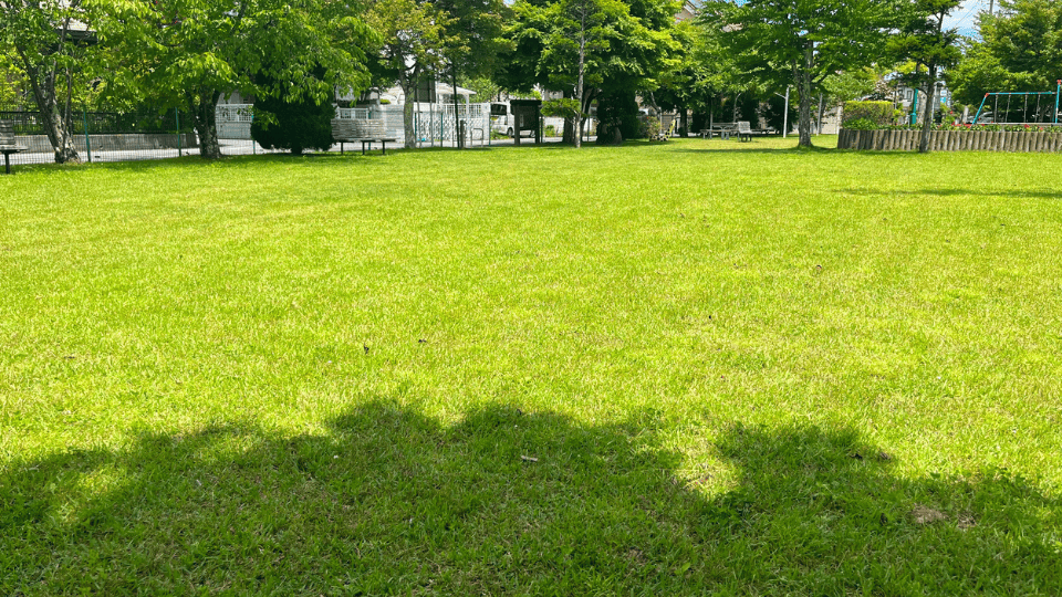 Chesterfield Lawn Mowing
