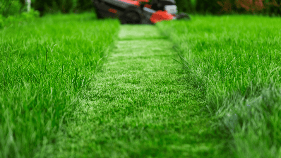 St. Charles Lawn Mowing