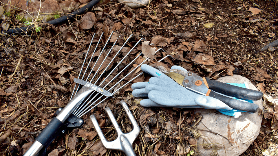 Chesterfield Seasonal Cleanup