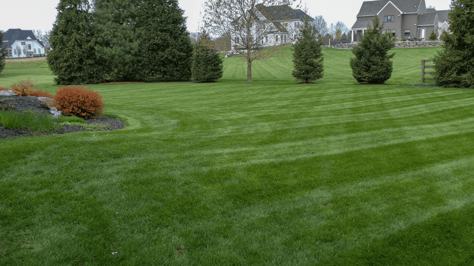 Lawn Care & Landscaping Chesterfield