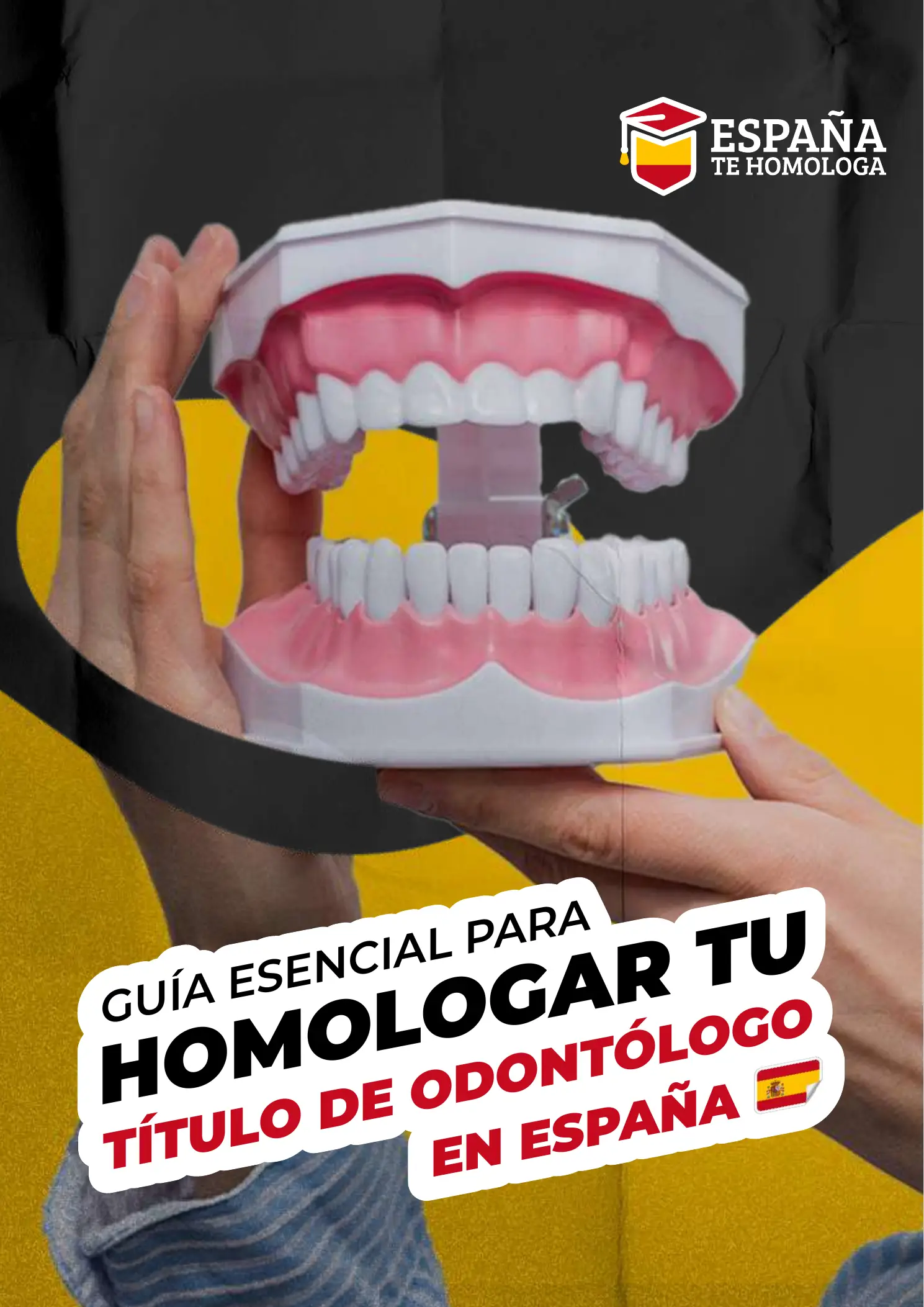 Portada de la guía Odontología