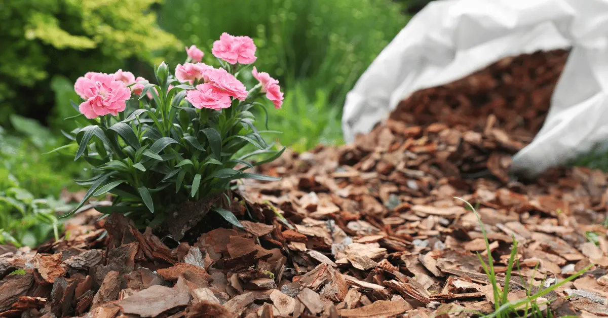 Mulch Installation in Fairport, NY