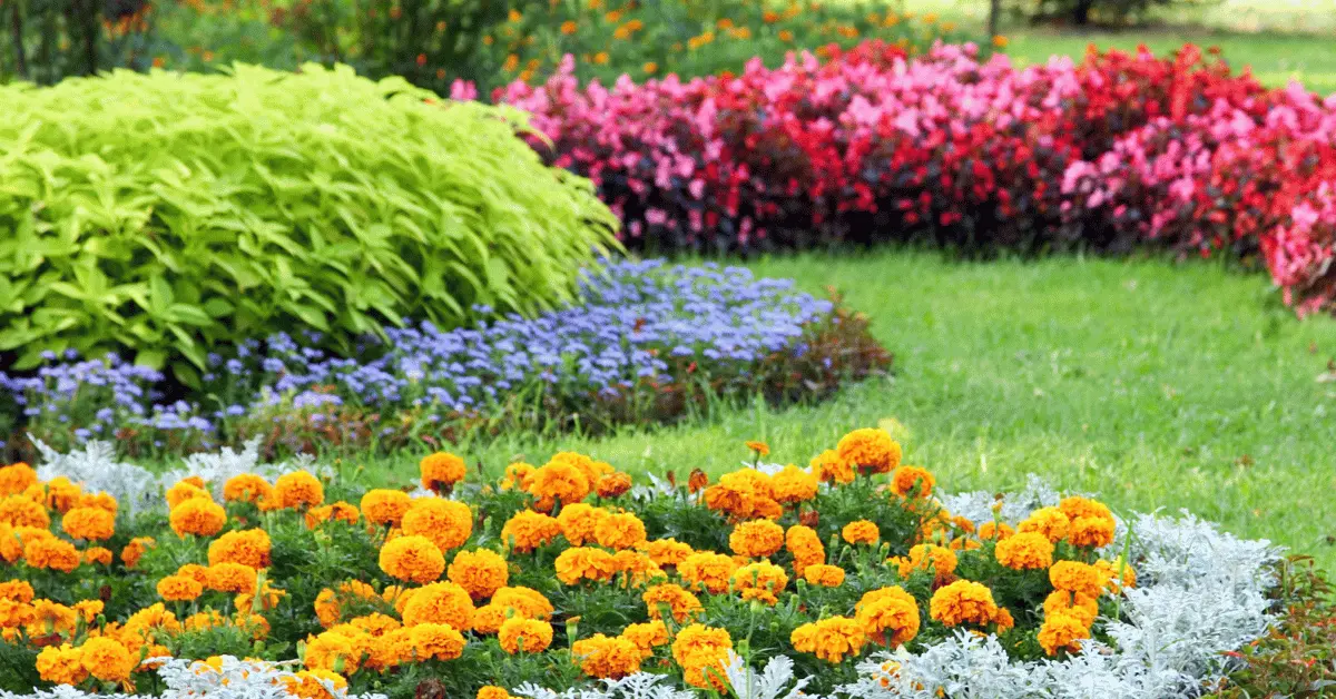 Landscaping Process and Expert Execution in Fairport, NY