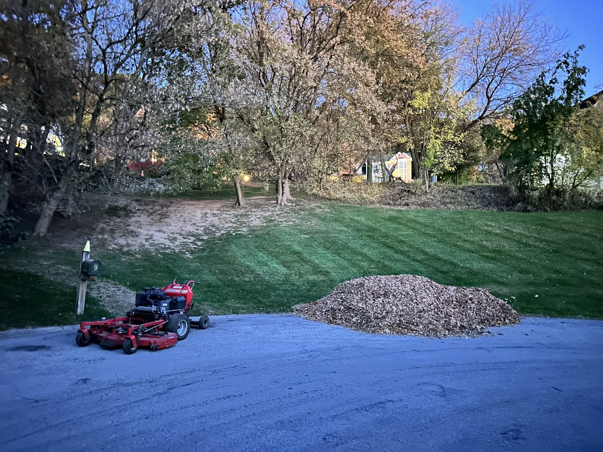 Yard Cleanups in Fairport, NY