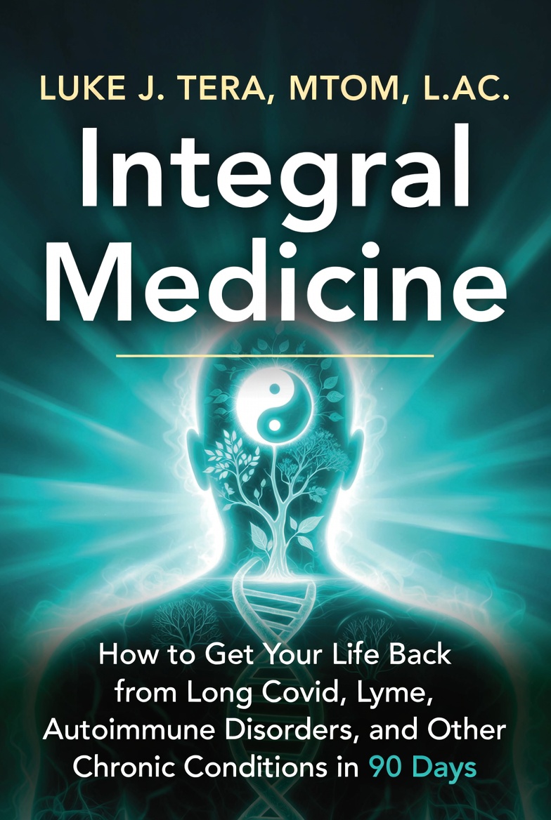 Integral Medicine: How to Get Your Life Back — Book Cover