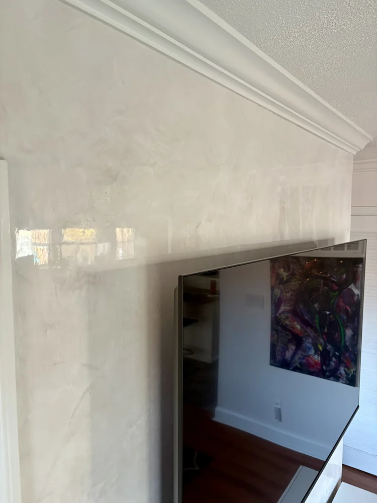 Light Venetian plaster wall finish with subtle movement and polished architectural detailing