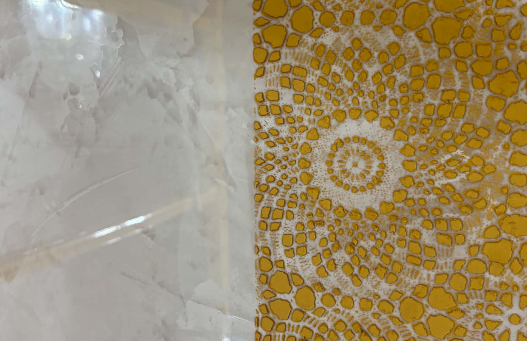 Custom Venetian plaster feature wall finish with gold decorative detailing in St. Louis