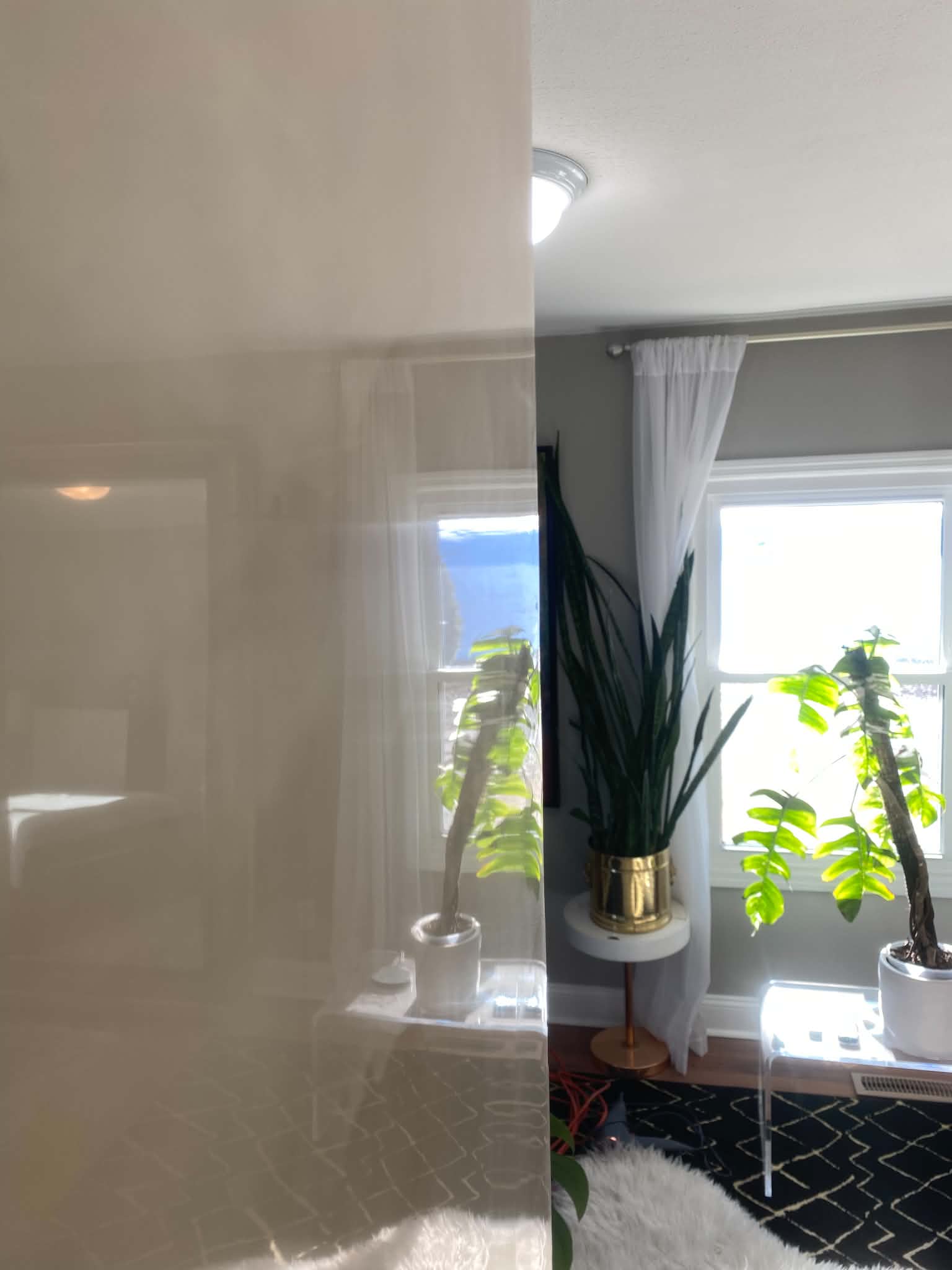 High-gloss Venetian plaster wall with mirror-like reflection and soft neutral finish