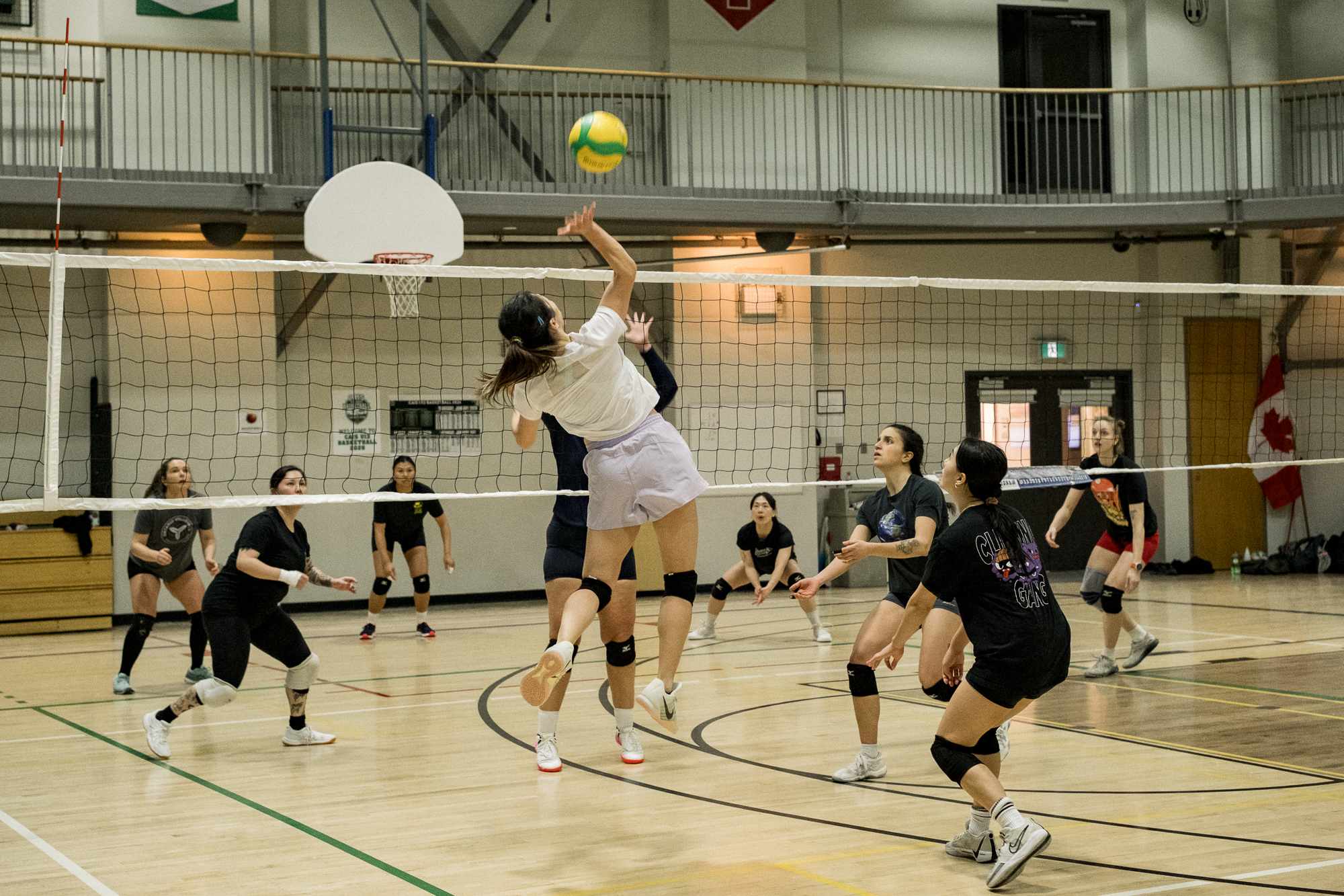Adult recreational volleyball game