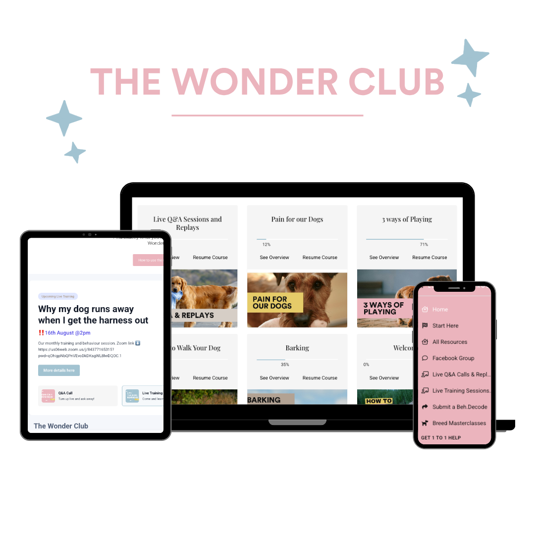 The Wonder Club member area shown on a laptop, tablet and phone: live Q&A replays, training sessions, breed masterclasses and the resource menu