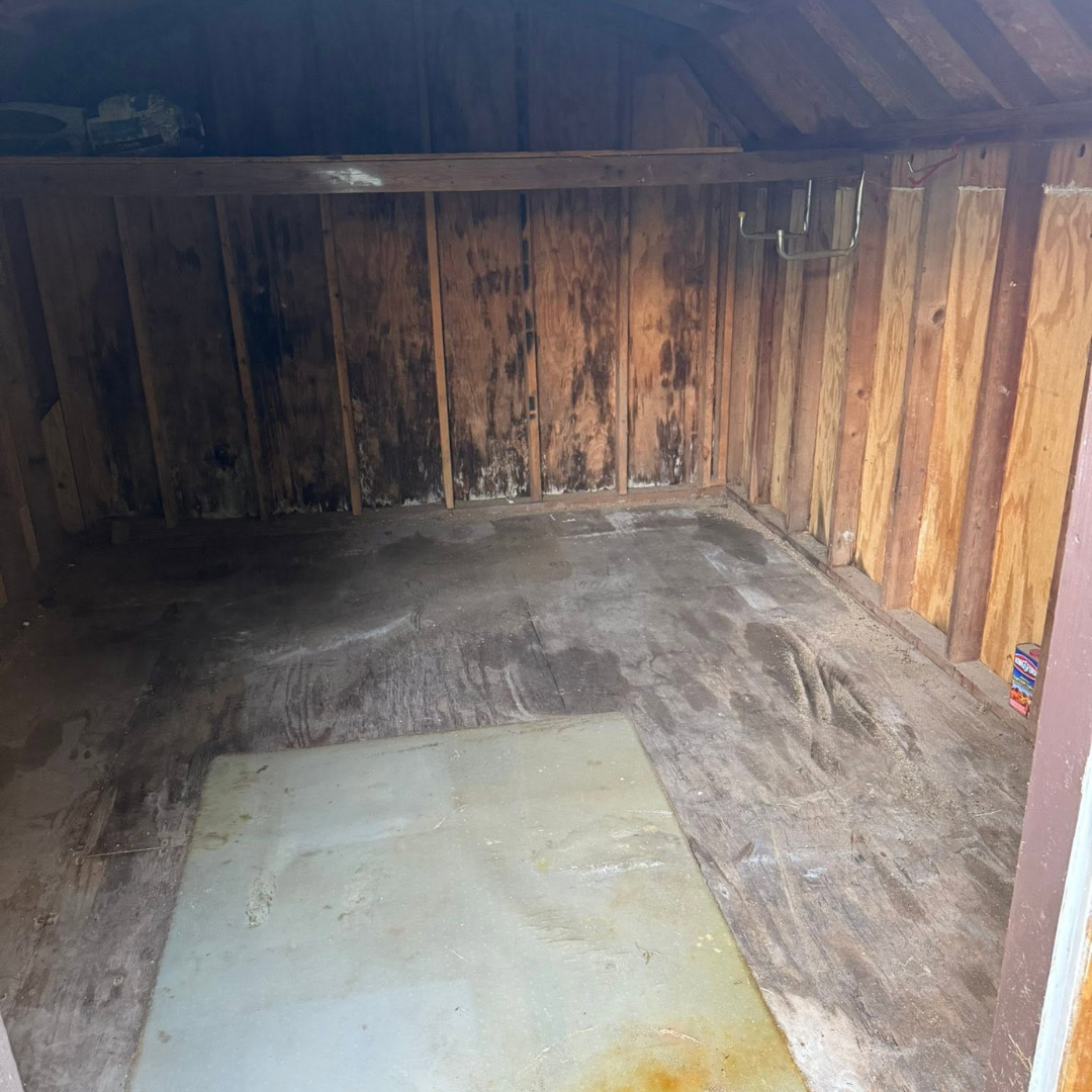 Cleared shed interior after unwanted contents were removed.