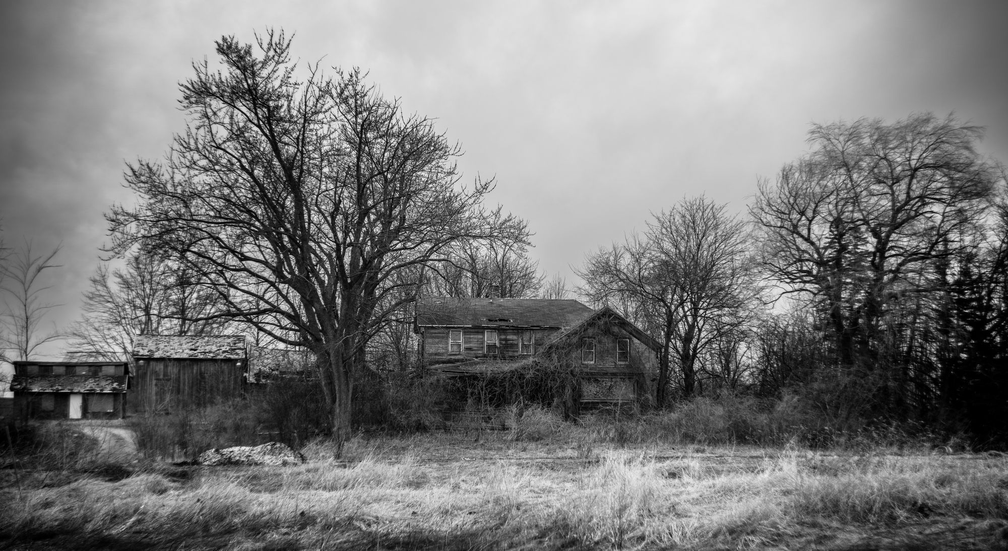 An abandoned farmhouse with bare trees