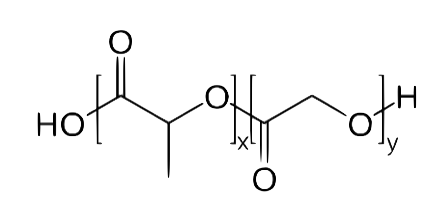 PLGA structure