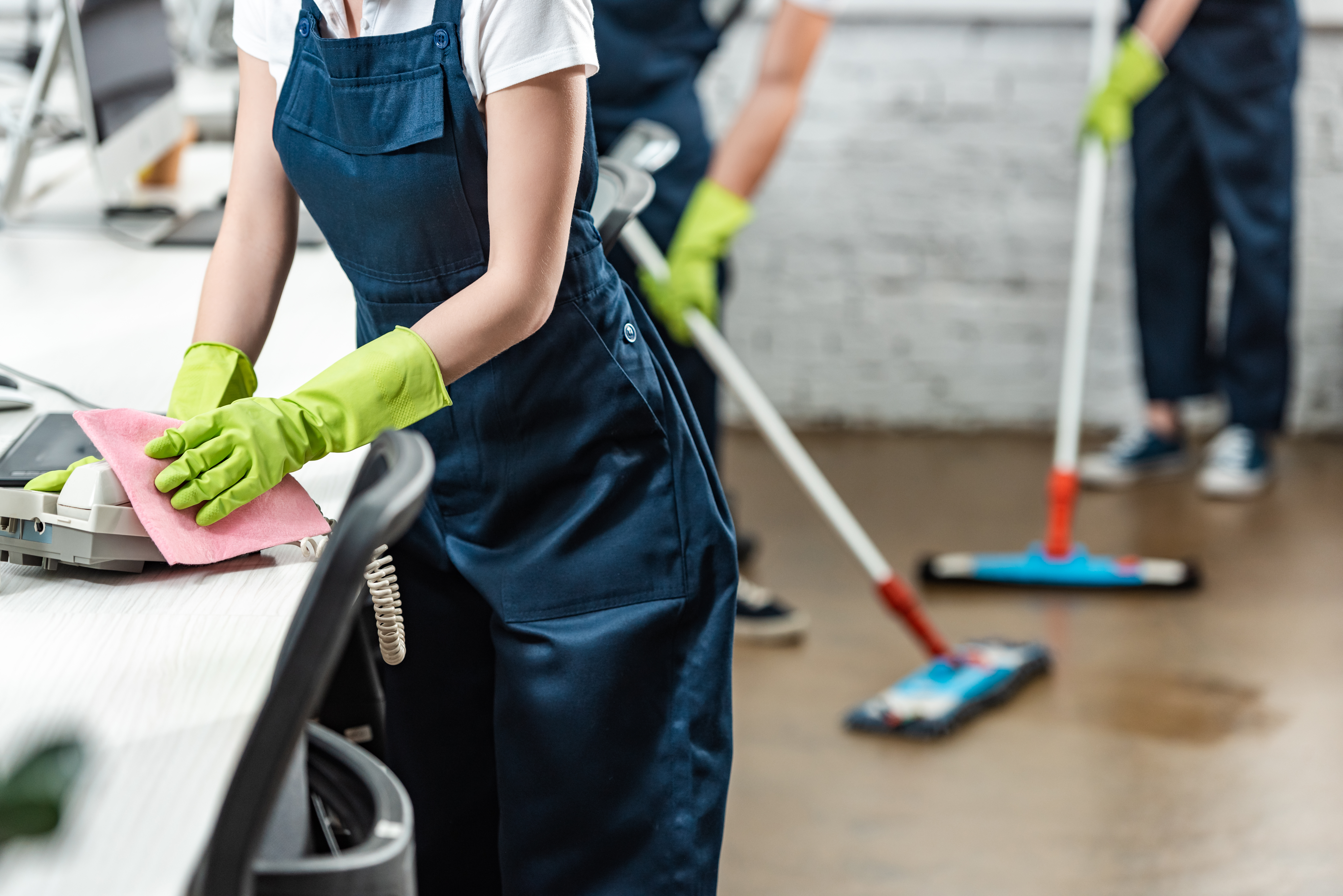 Professional cleaning service