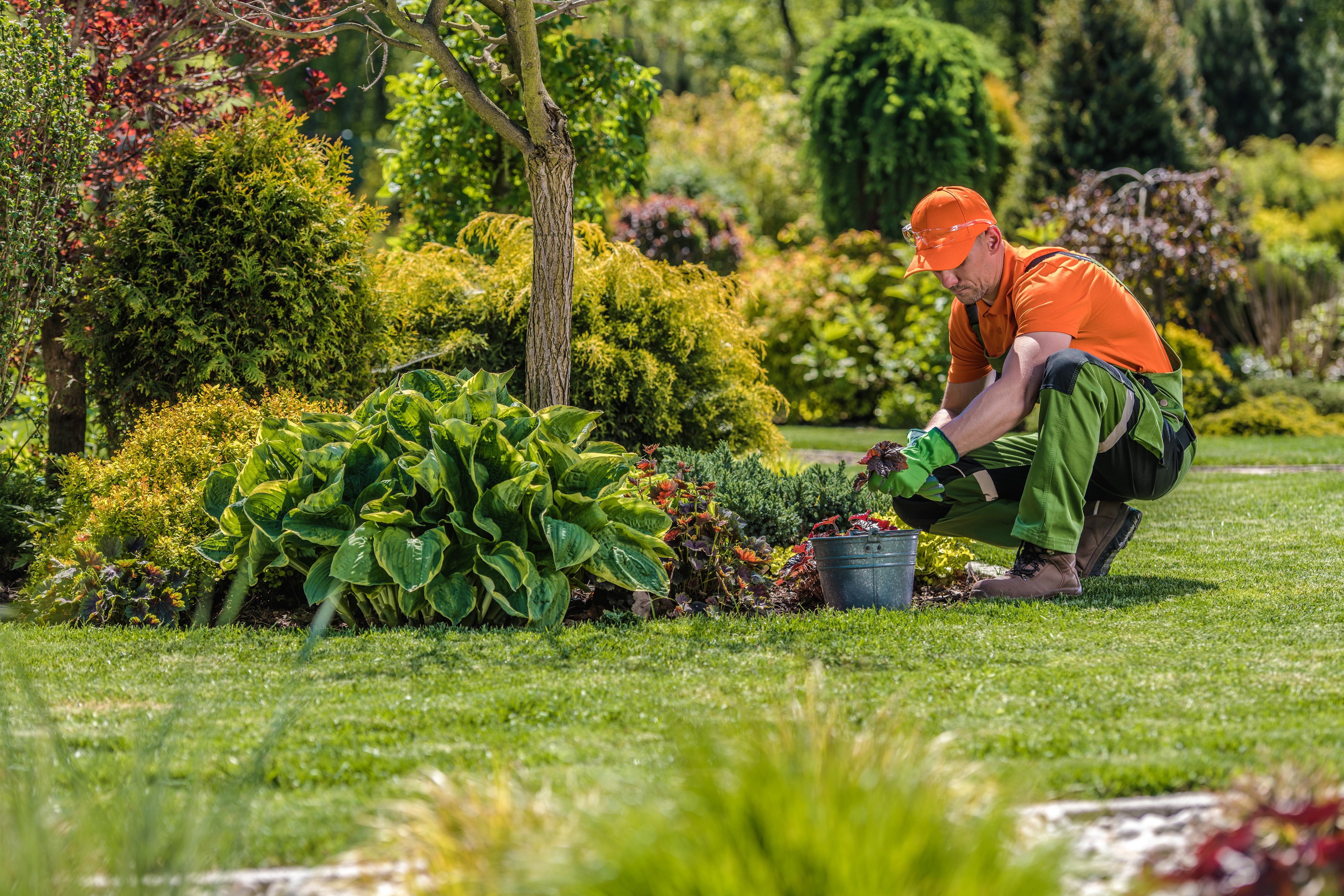 Garden maintenance