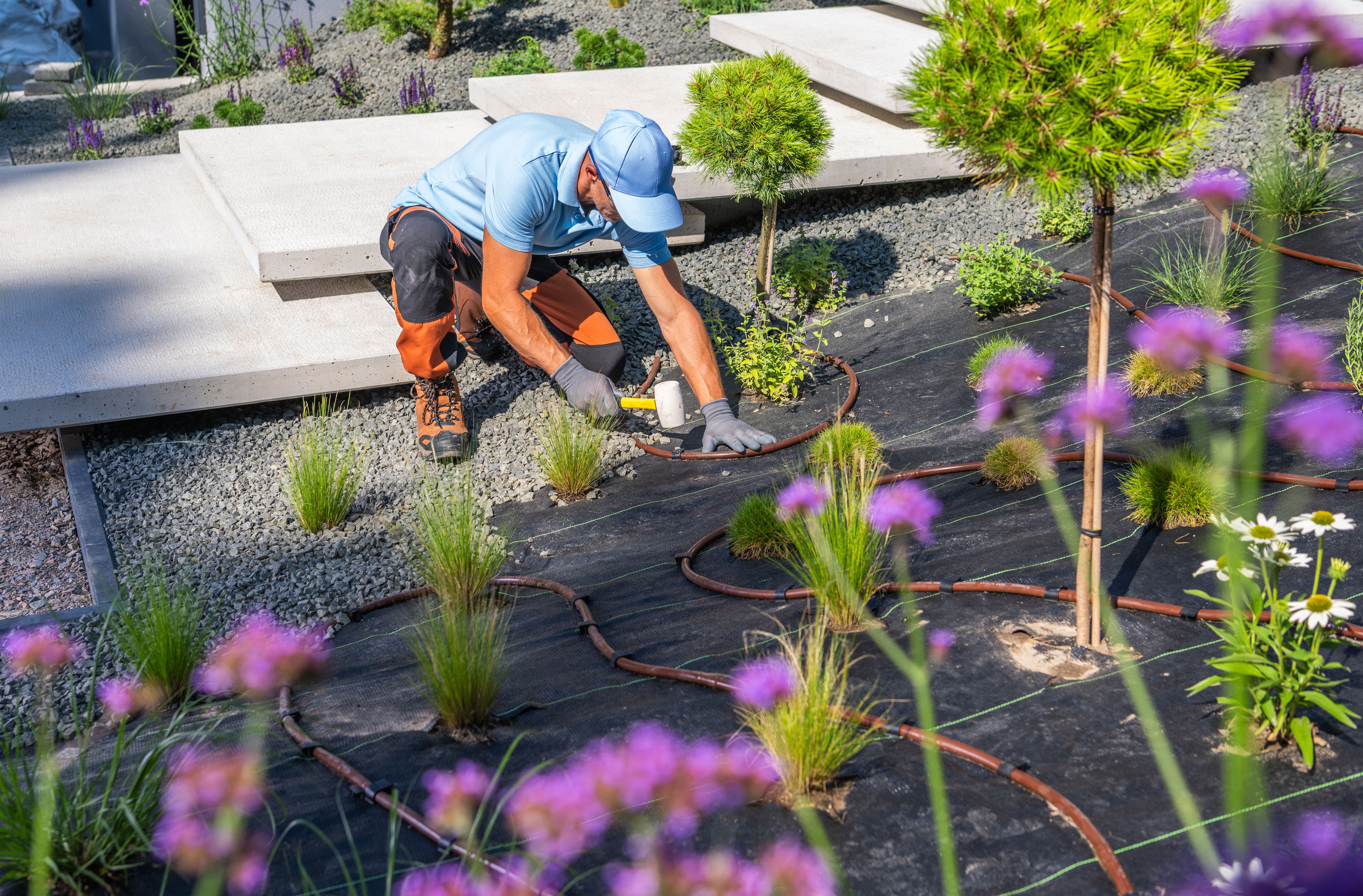 Plant installation