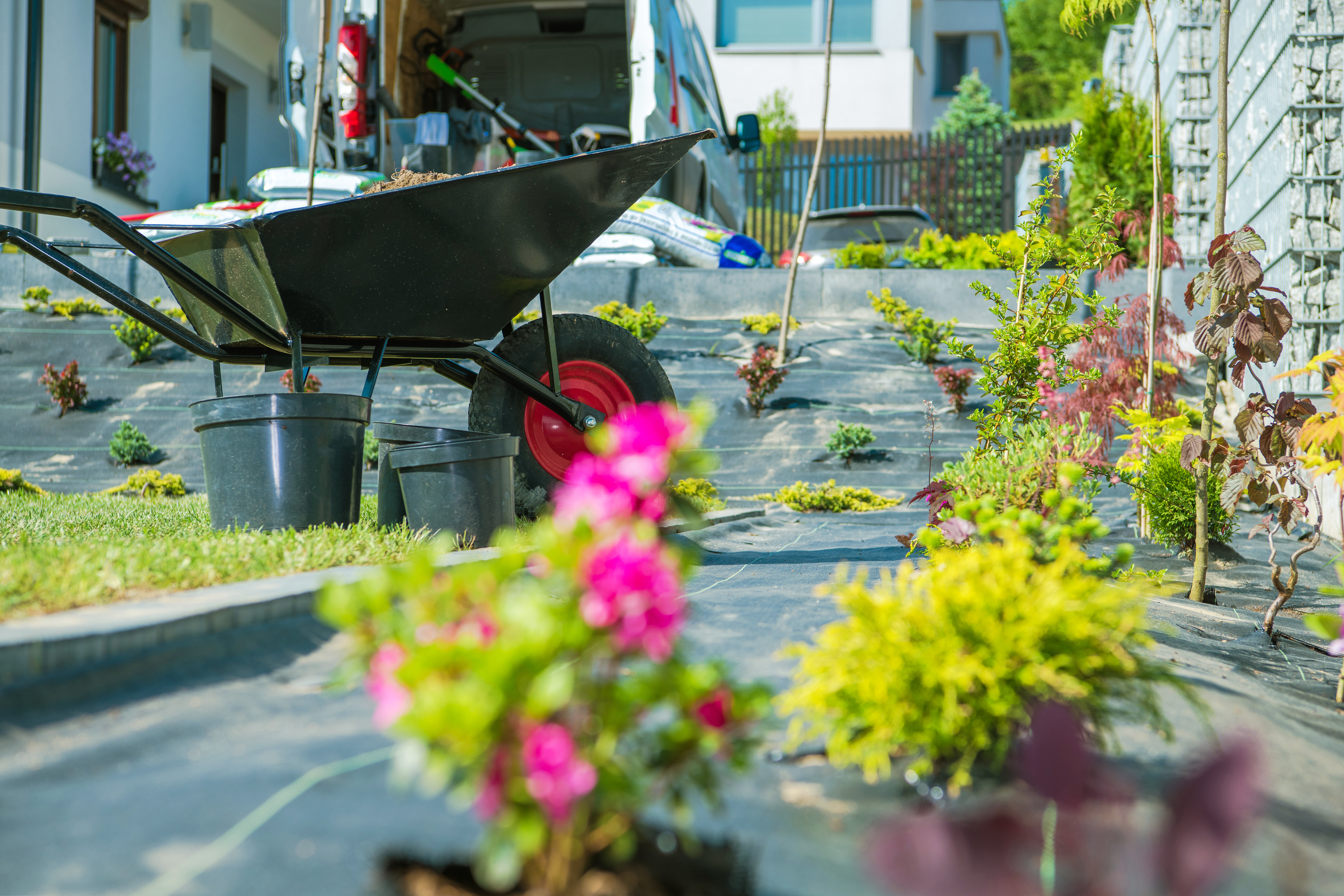 Sustainable and ecological landscaping