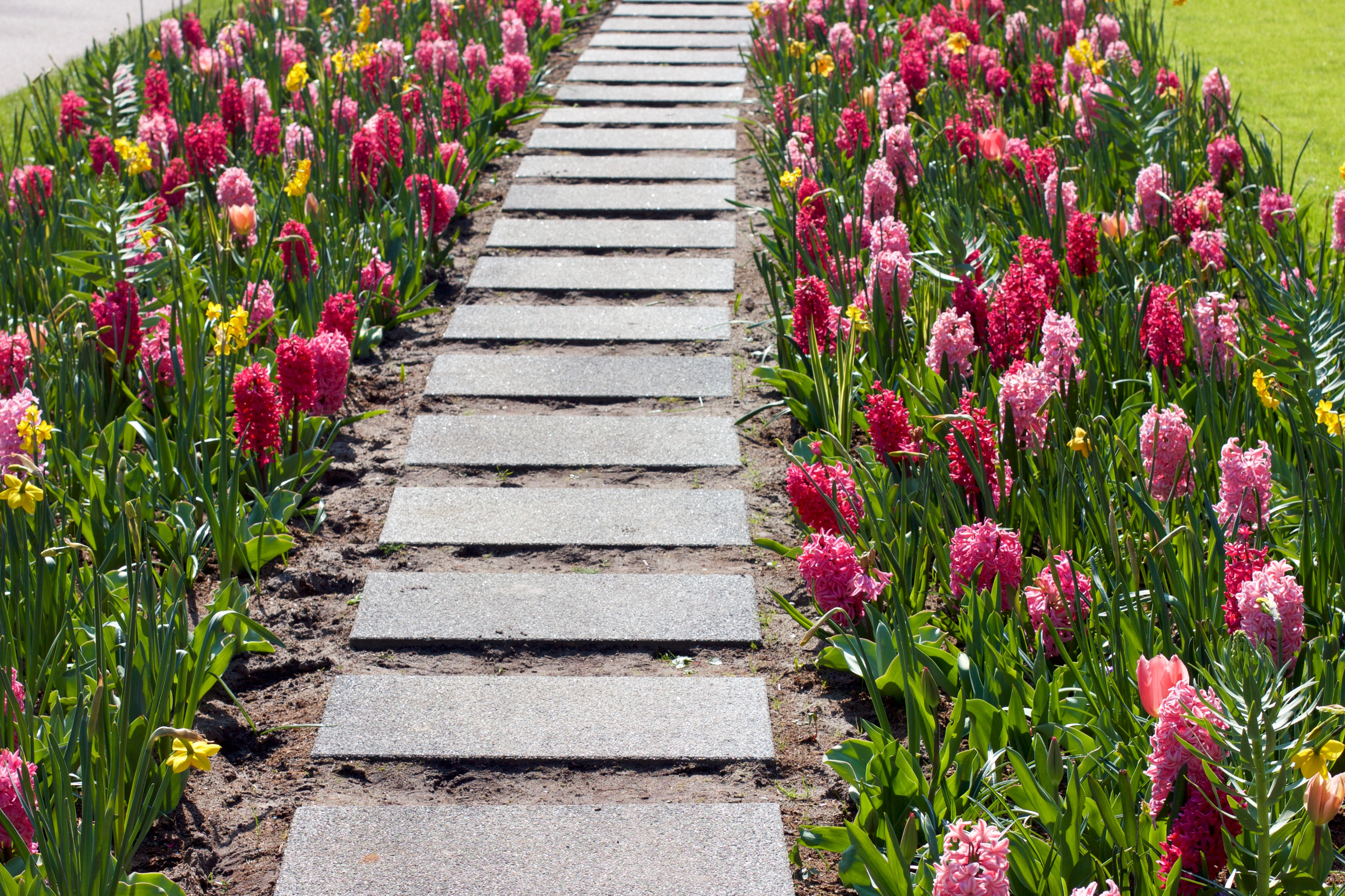 Government landscaping