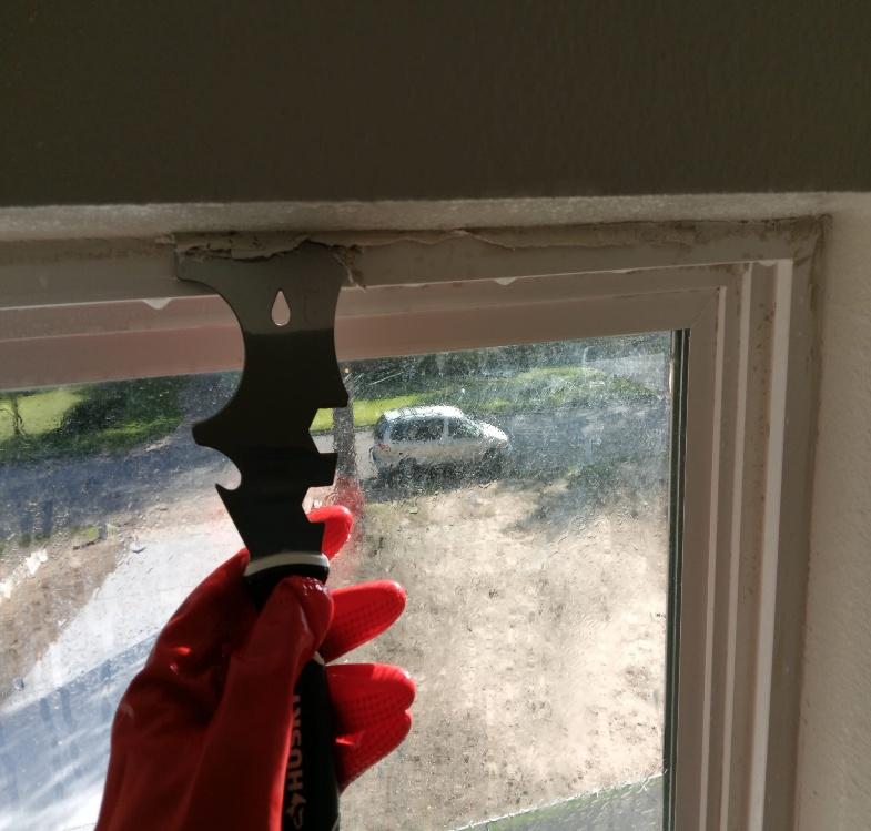 Window Cleaning 3