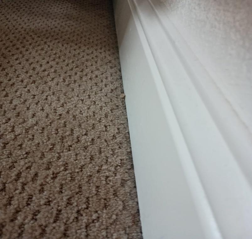 Deep Cleaning 6