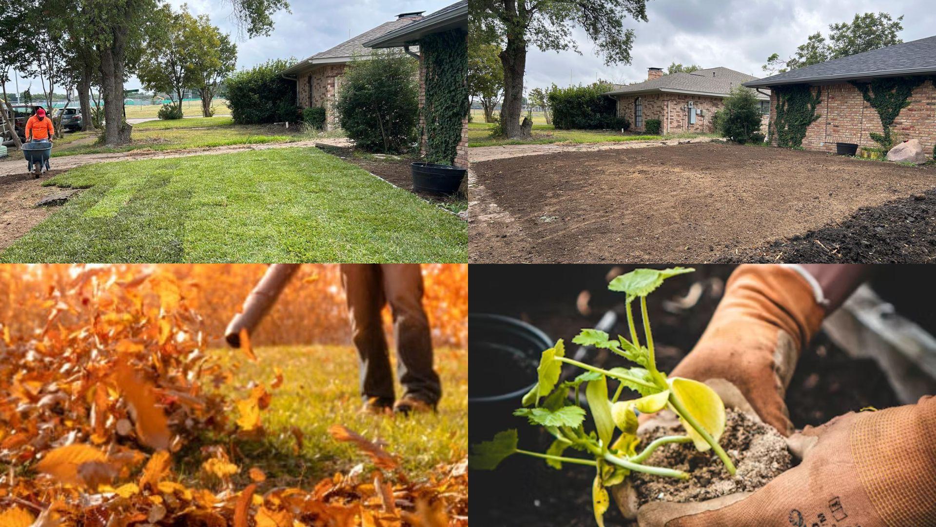 Landscaping 6