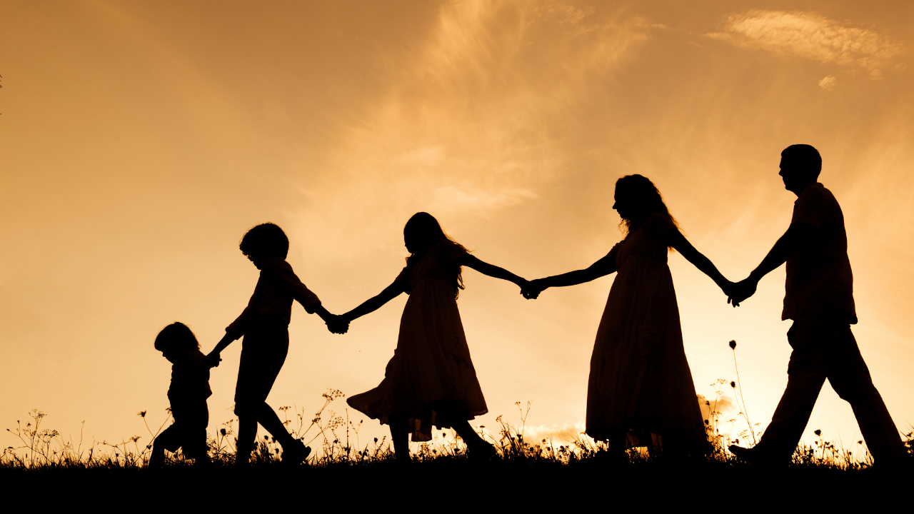 Strong Families = Regulated Nervous Systems | Sullivan, MO