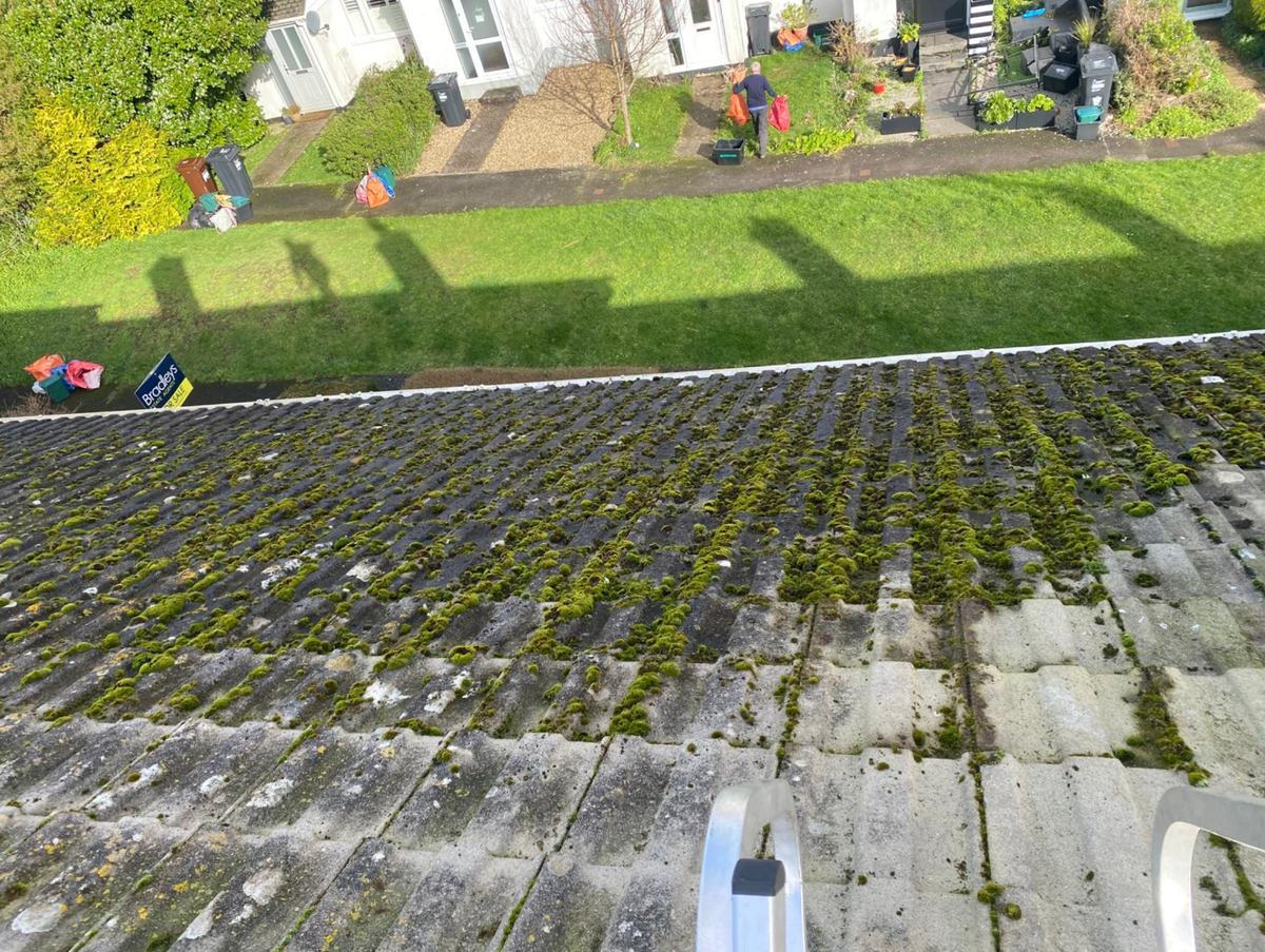 Roof covered in moss before work started