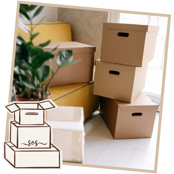 Neatly stacked moving boxes in bright living room — move management services Shannon's Organizing Solutions Lake Havasu City AZ