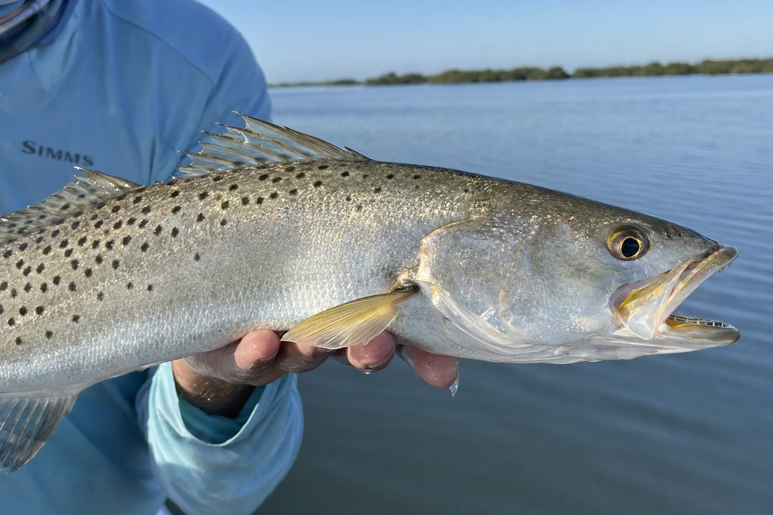 Speckled trout fishing near Destin