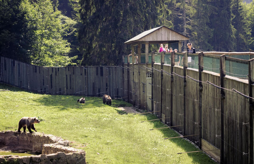 JuraParc – loups, ours et bisons en pleine nature