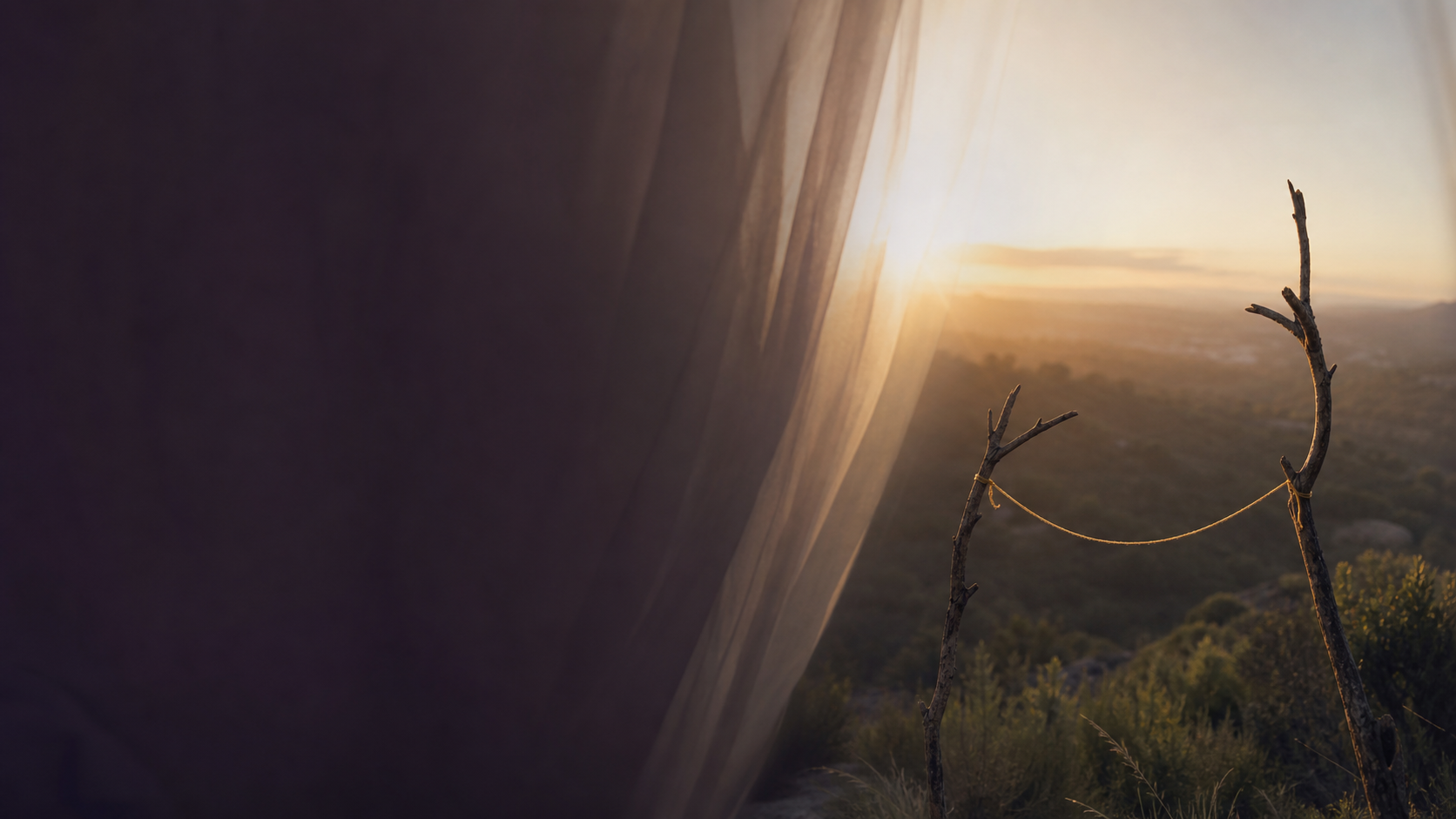 Warm morning light and a delicate golden thread, symbolizing hope and enduring connection