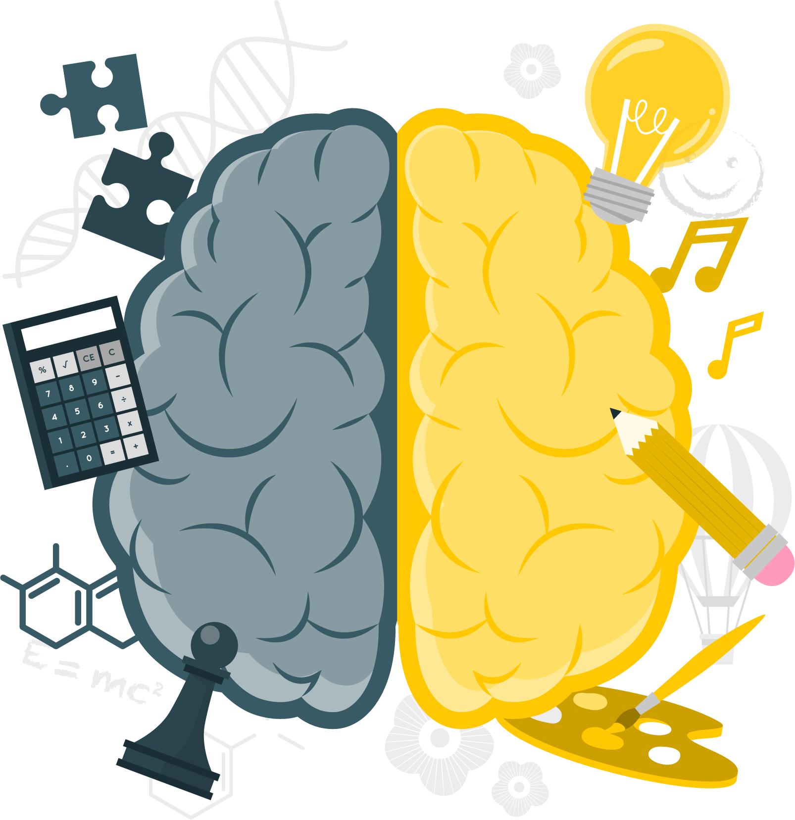 Brain Hemispheres