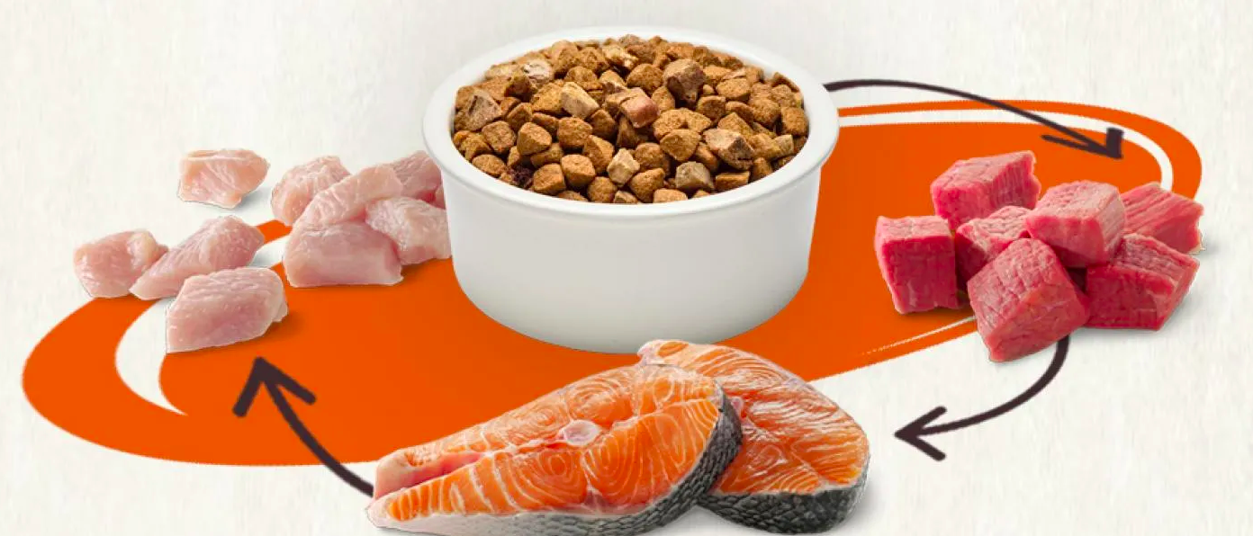 Do You Rotate Your Dog’s Food?