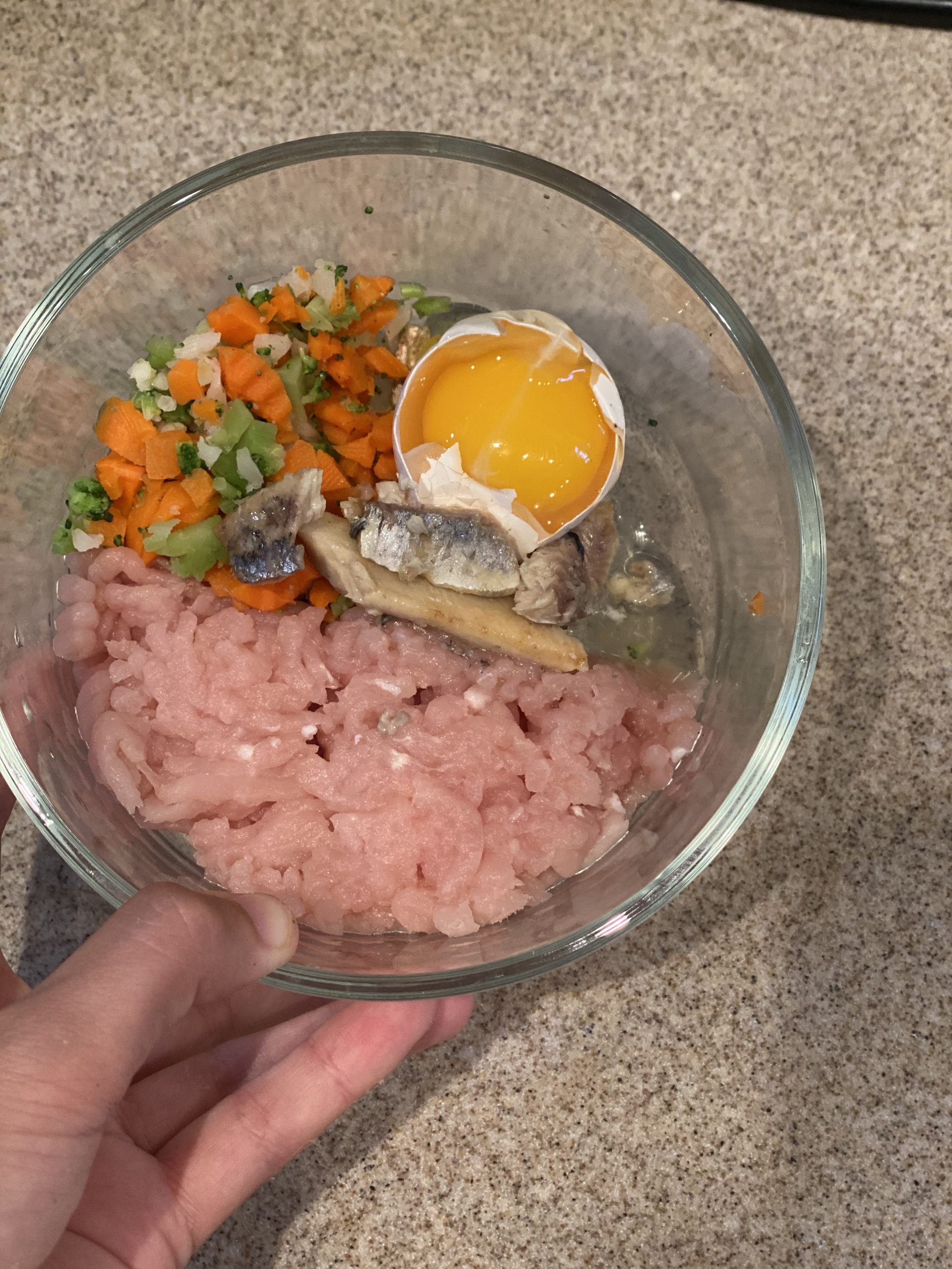 An Easy Fresh Food Recipe for your Dog