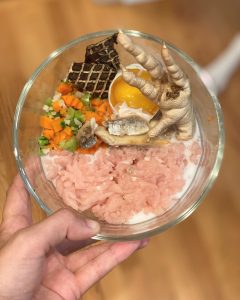 An Easy Fresh Food Recipe for your Dog