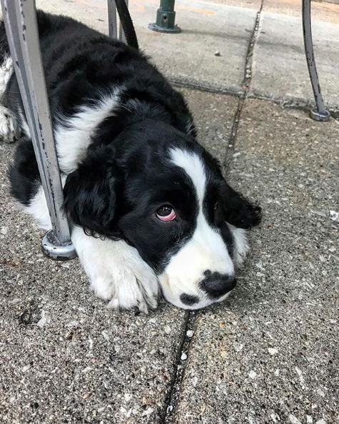 Patio Etiquette