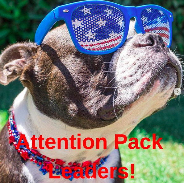 The Dos and Don’ts of Fourth of July