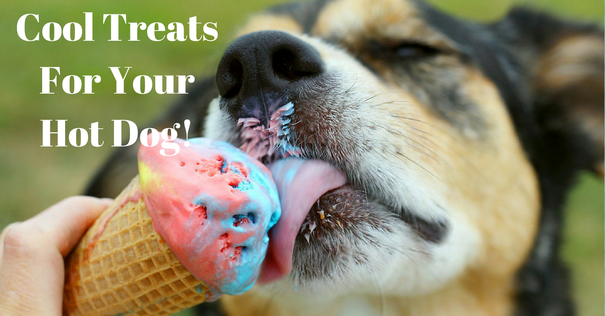 Cool Treats For Your Hot Dog!
