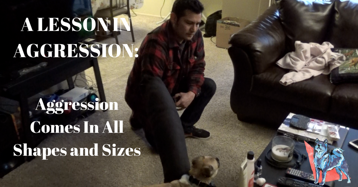 Aggression in Dogs: An In-depth Training Example