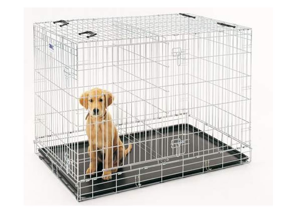 dog-crate-with-divider
