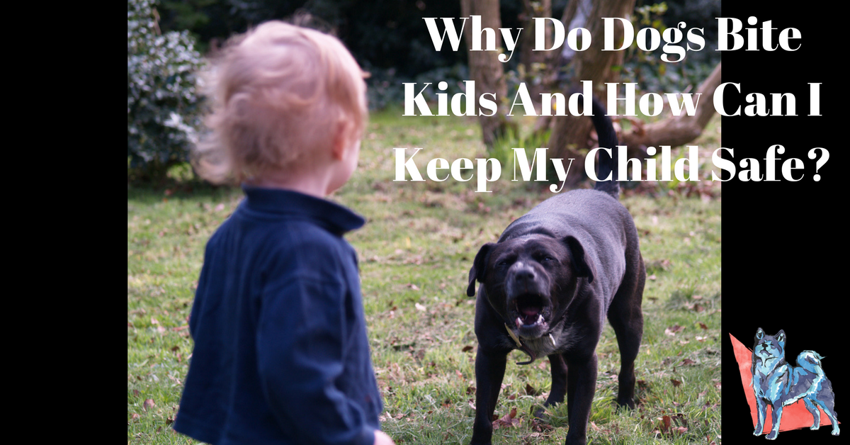 Dogs and Children: How to Keep Your Child Safe