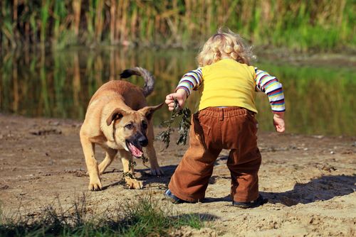 Dogs and Children: How to Keep Your Child Safe