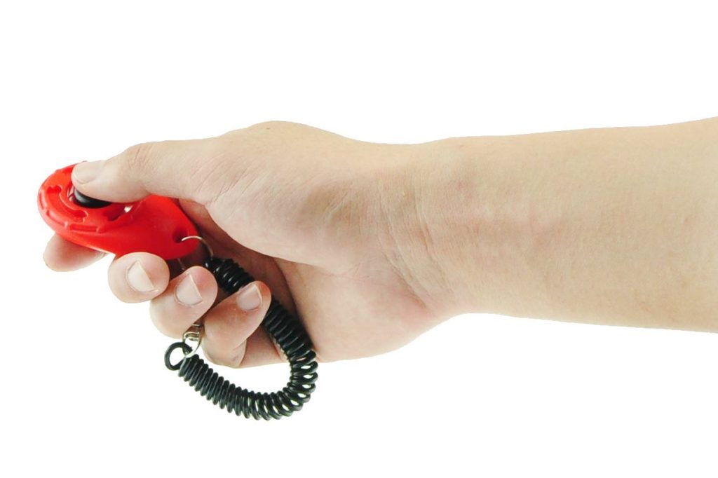 What is a Dog Clicker? 