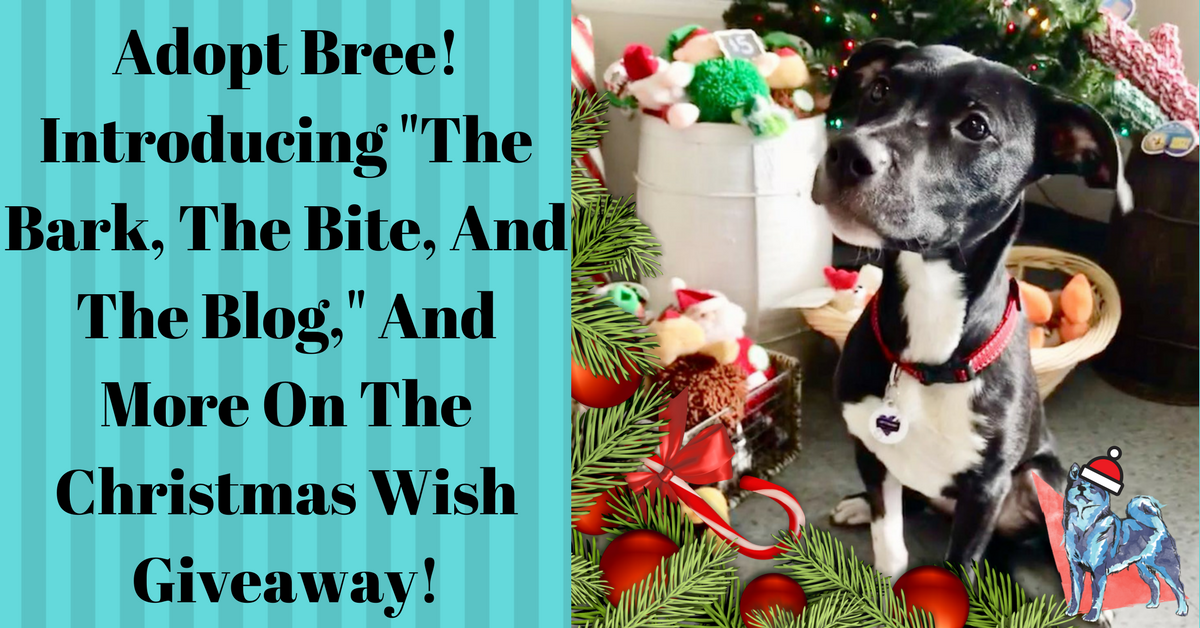 Introducing The Bark The Bite And The Blog And More On The Christmas Wish Giveaway!
