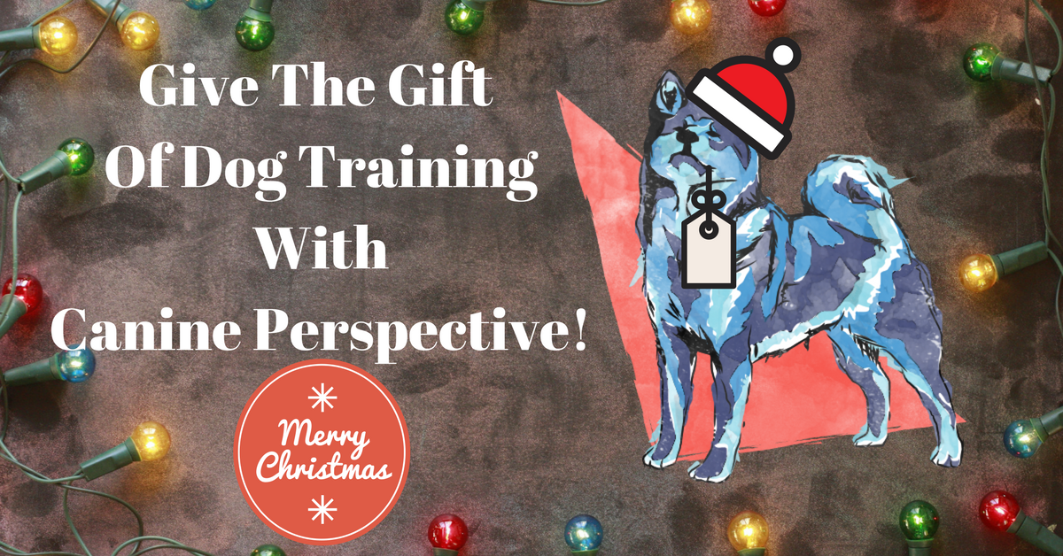 Give The Gift Of Dog Training And Don’t Forget To Enter In The “Christmas Wish” Program Giveaway!